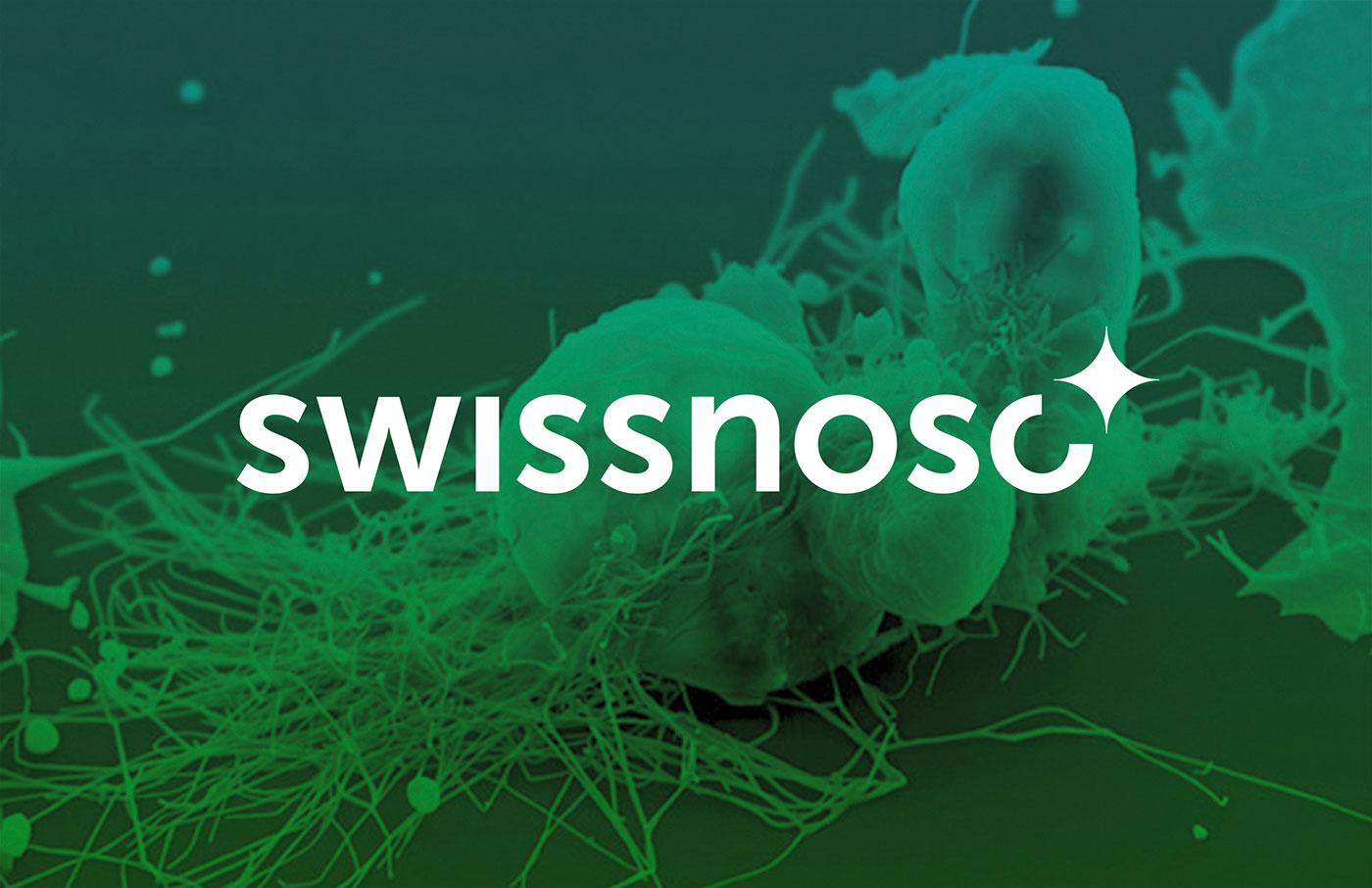 Swissnoso Logo invertiert